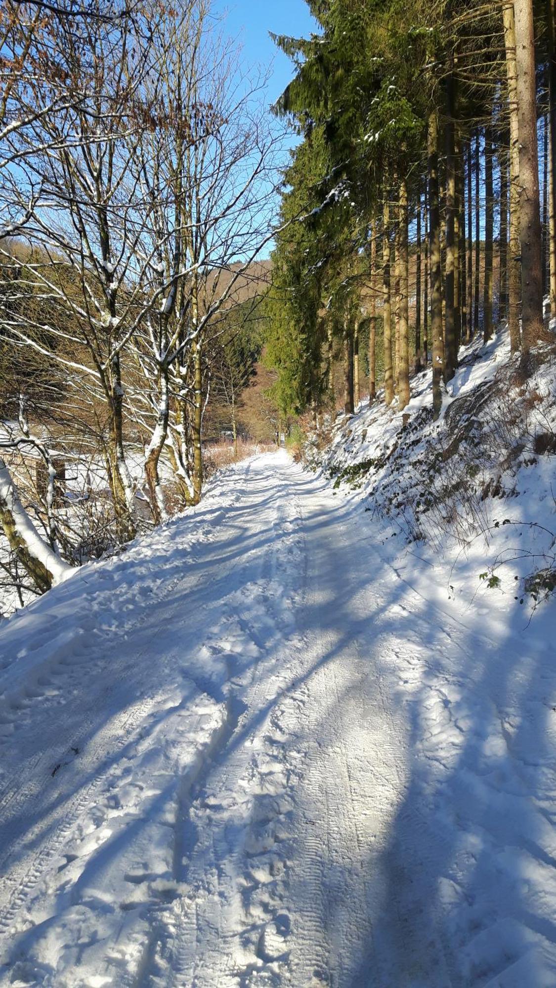Landhaus Im Grund Lennestadt Zewnętrze zdjęcie